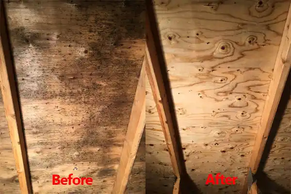 water damage restoration service Irvington
